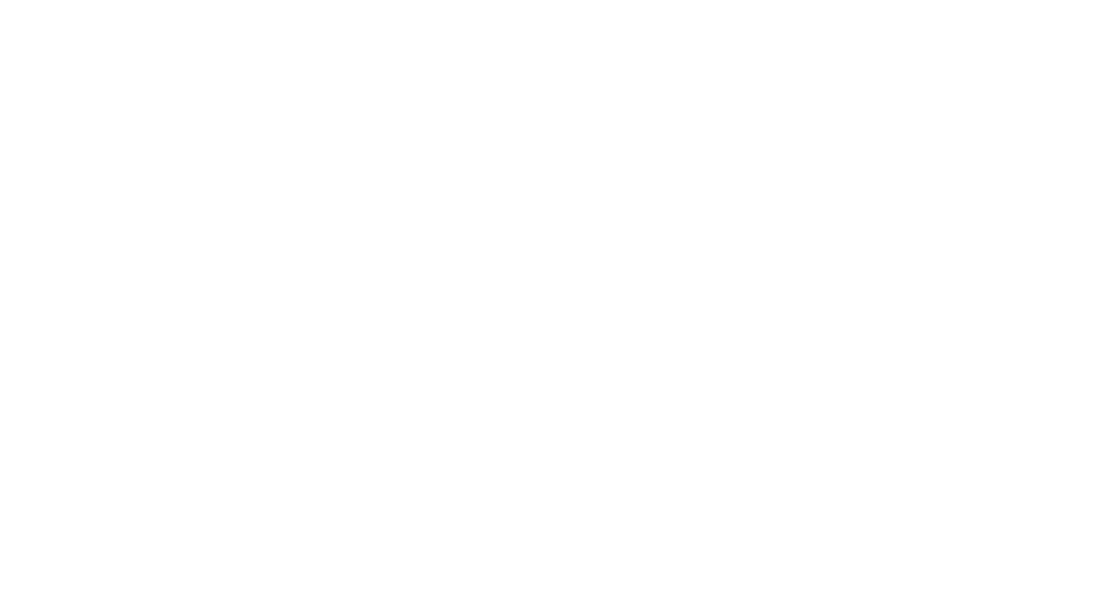 INT Emirates Holding